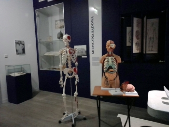 W Muzeum Historii Medycyny
