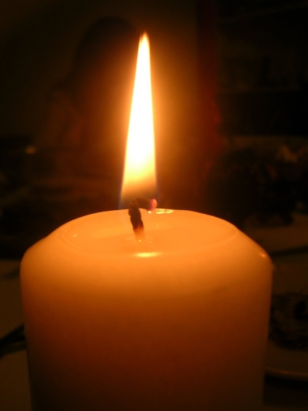 Listopadowe zadumanie... pamięci pana prof. W. Adaszewskiego