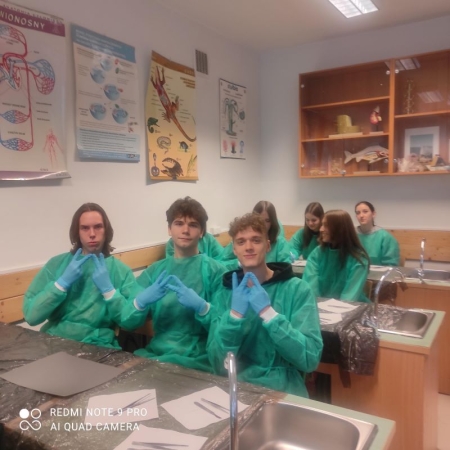 Warsztaty chirurgiczno–anatomiczne