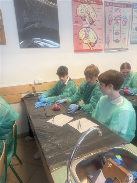 Warsztaty chirurgiczno–anatomiczne